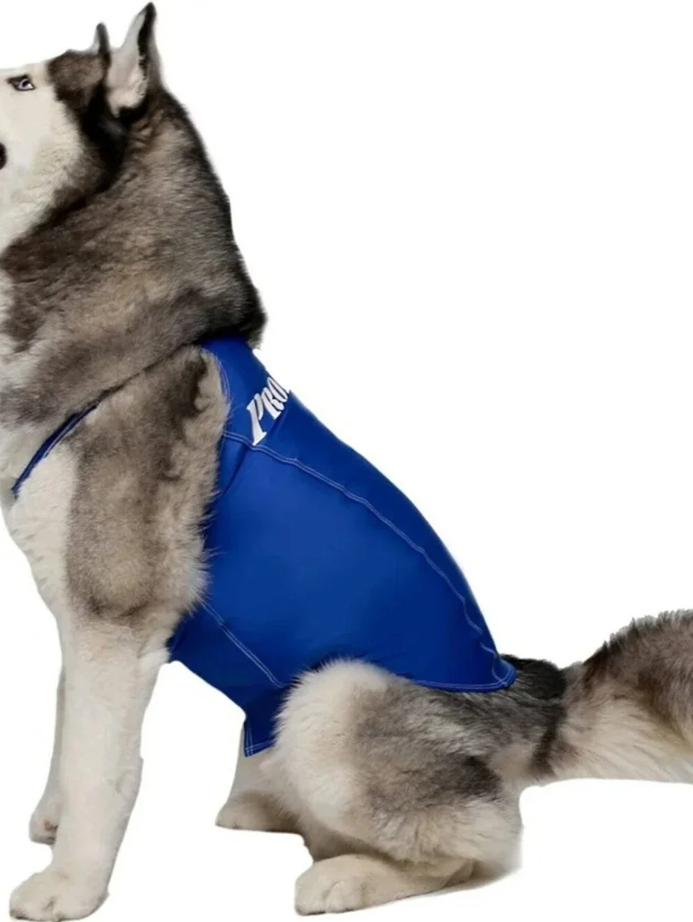 PRO DOGG COMPRESSION ANXIETY SHIRT XL
